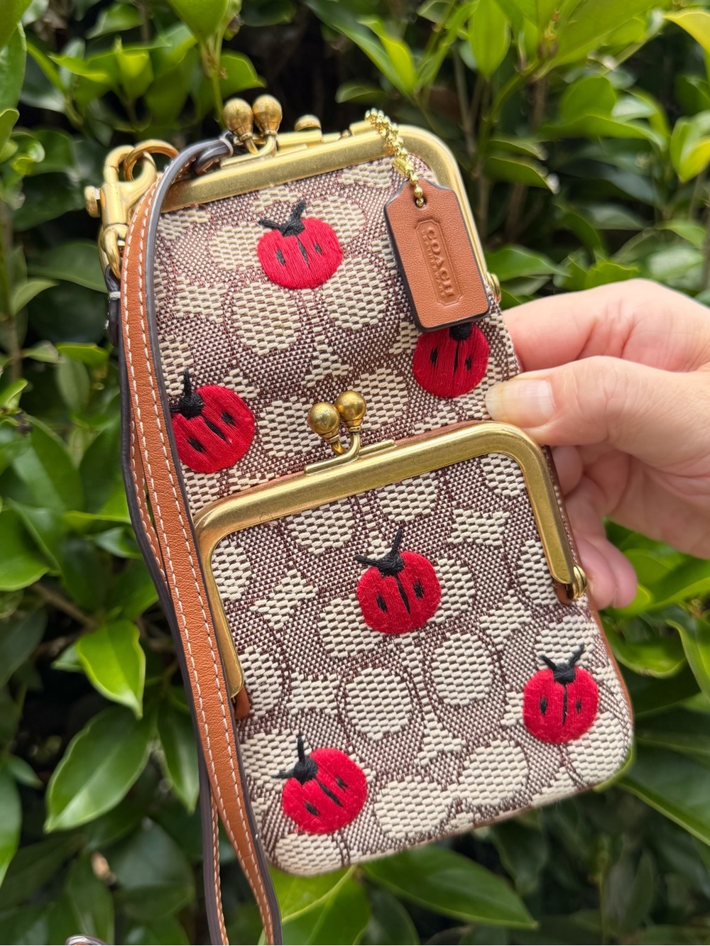 Coach Double Frame Crossbody 12 In Signature Textile Jacquard C6522